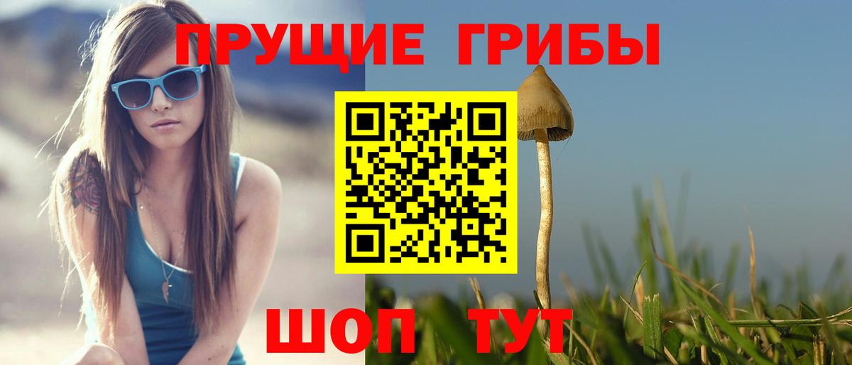 Псилоцибиновые грибы ЛСД  Вход с VPN  где купить наркоту  Стерлитамак  Галлюциногенные грибы мицелий 
